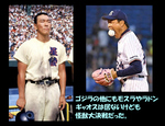 3256r8689709.jpg